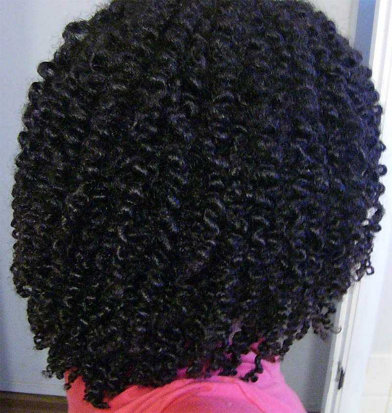 ... Celebrating Women of Color Â» Natural Hair Care Tutorial- Twist Out